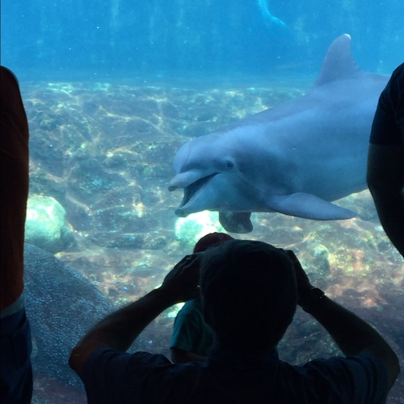 Meet your Posher, Alecia - Picture 1 of 1