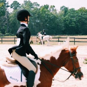 Meet your Posher, Sammie