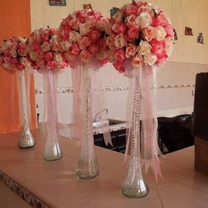 Meet your Posher, Mayra