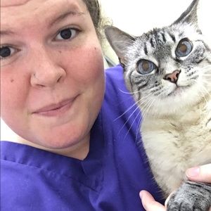 Meet your Posher, Leesa