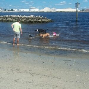 Meet your Posher, Del