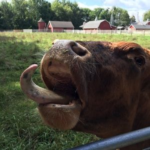 Meet your Posher, Candace