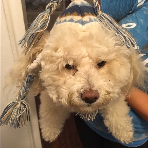 Meet your Posher, Paige