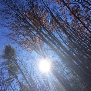 Meet your Posher, Tiana