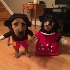 Mix and match! new jewelry & create bundles