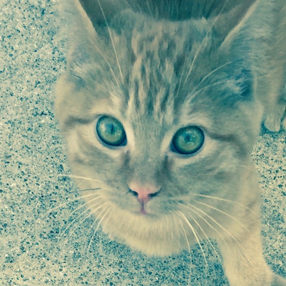 Meet your Posher, Adam - Picture 1 of 1