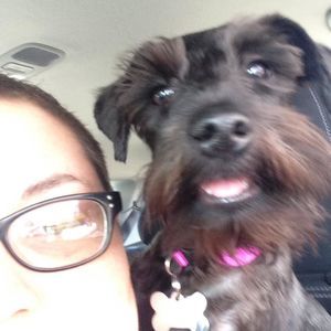 Meet your Posher, Erica