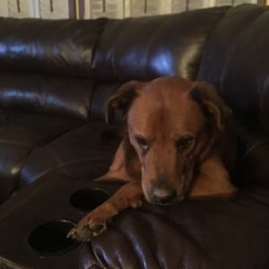 Meet your Posher, Elizabeth