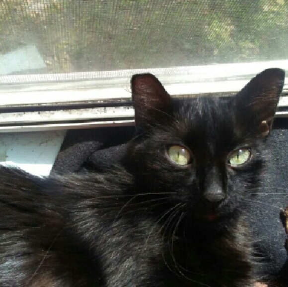 Make my mommy some offers! ??