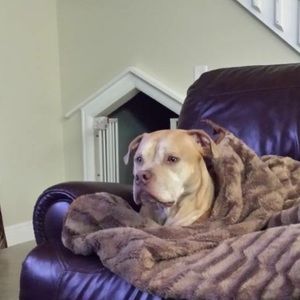 Meet your Posher, Rita