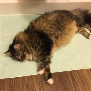 Meet your Posher, Zoe