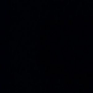 Meet your Posher, Felicitas