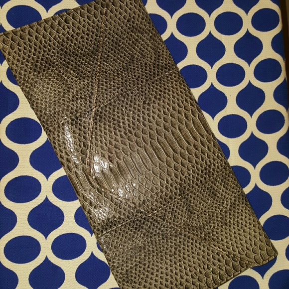 Snake Print Clutch