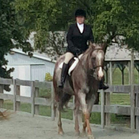 Meet your Posher, Danielle - Picture 2 of 4