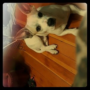 Moving and everything must go!