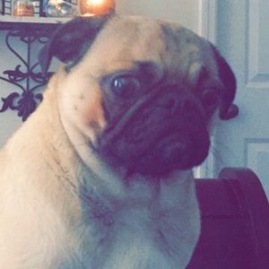 Meet your Posher, Katie