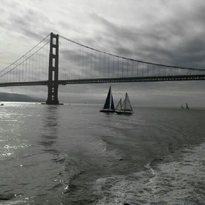 Meet your Posher, Lily