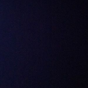 Meet your Posher, Ronnie