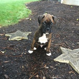 Meet your Posher, Nick