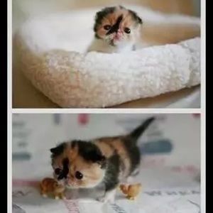 Meet your Posher, Jared