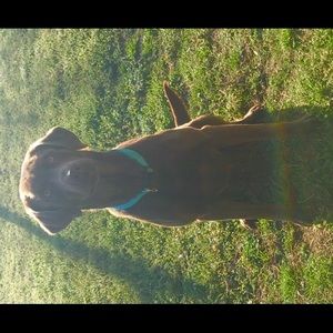 Meet your Posher, Kaylee