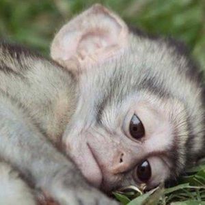 Meet your Posher, Lorena