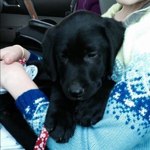 Meet your Posher, Delaney