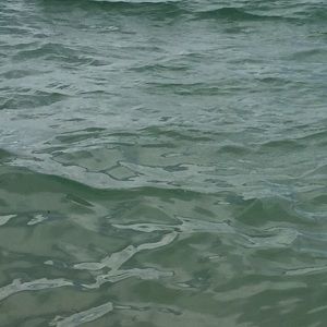 Meet your Posher, Ernesto