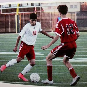 Meet your Posher, Hector