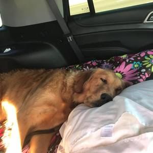 Meet your Posher, Angelina