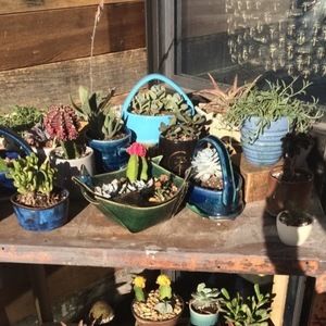 Meet your Posher, Carlyle