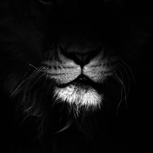 Meet your Posher, Cherokee