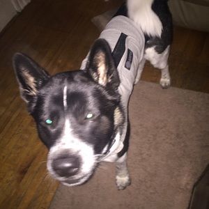 Meet your Posher, Joycealyn