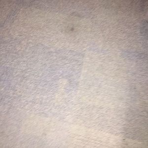 Meet your Posher, Natoya