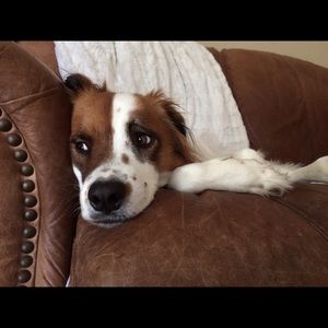 Meet your Posher, Keely