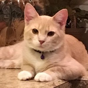 Meet your Posher, Nickole