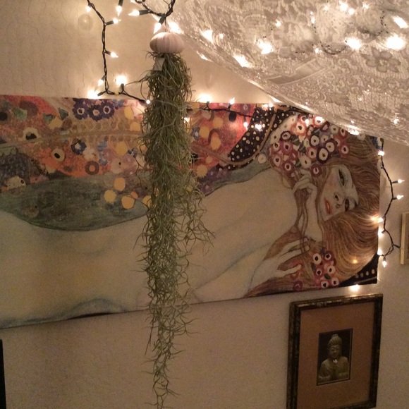 Handmade lovely Spanish Tillandsia Air plant🌾 - Picture 3 of 4