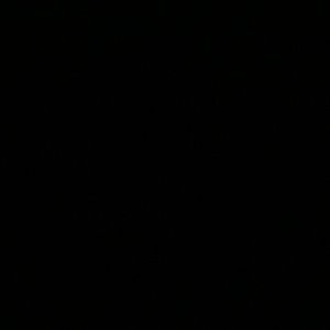 Meet your Posher, Luz