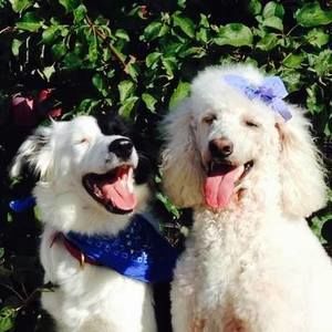 Meet your Posher, Heidi