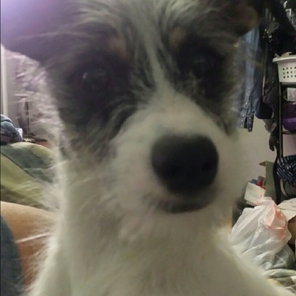 Meet your Posher, April - Picture 1 of 1