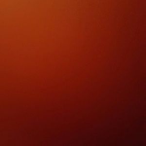 Meet your Posher, Leonard