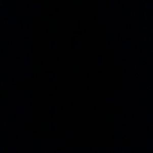 Meet your Posher, Darius