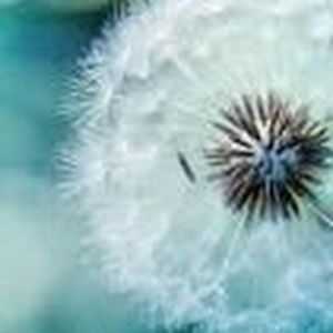 Meet your Posher, Gaby