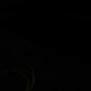 Meet your Posher, Alan