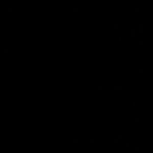 Meet your Posher, Alasha