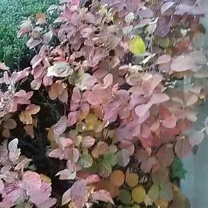 Meet your Posher, Brina