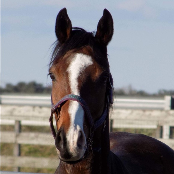 Meet your Posher, Kiya