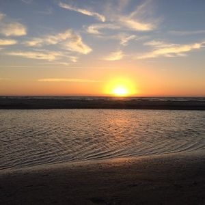 Meet your Posher, Tommie