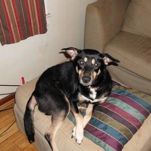 Meet your Posher, Malia