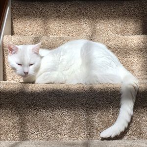 Meet your Posher, Becky